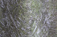 Abbots Leigh fibreglass roof work